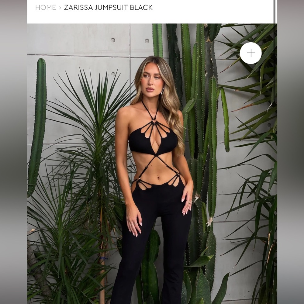 Aris Zarissa Black Cutout Jumpsuit